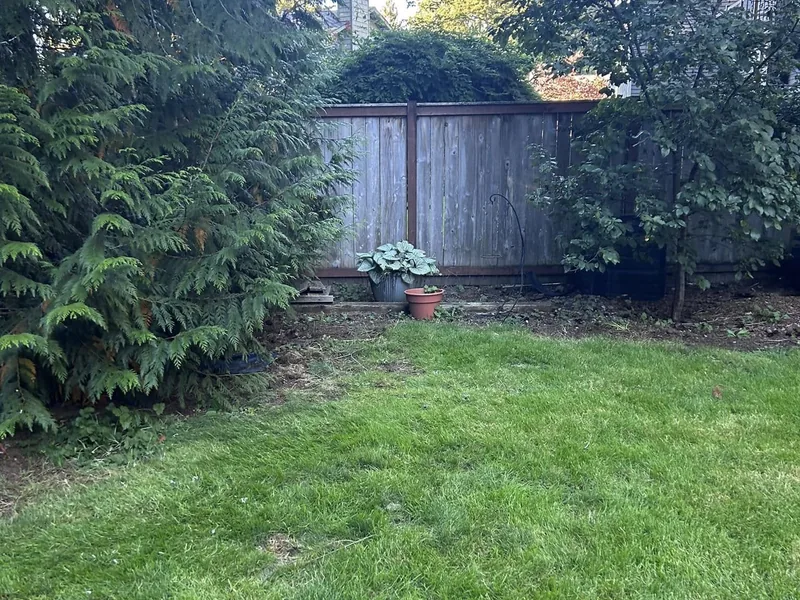 Fenced Yard Junk Removal - after