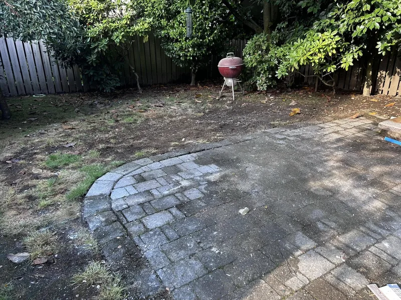 Patio & Yard Debris Haul-Away - after