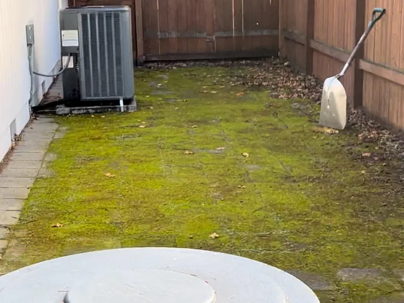 Full Yard Clean Sweep - before