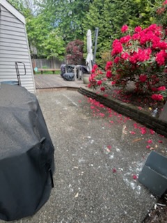 Side-Garden Junk Removal - after