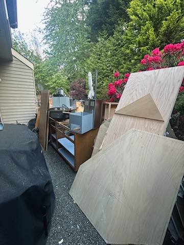 Side-Garden Junk Removal - before