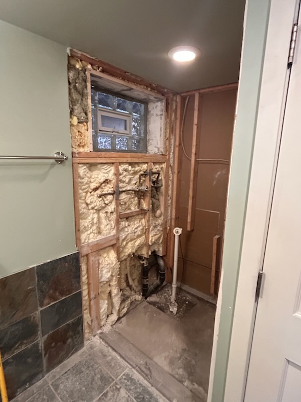 Bathroom Demolition - after