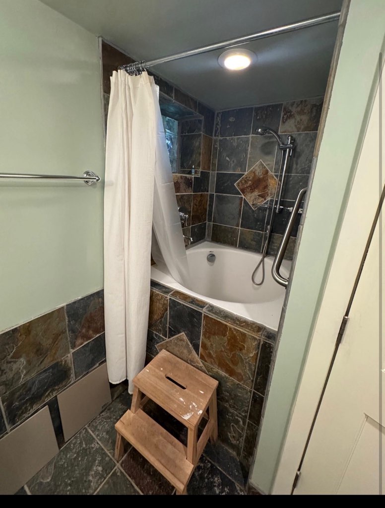 Bathroom Demolition - before